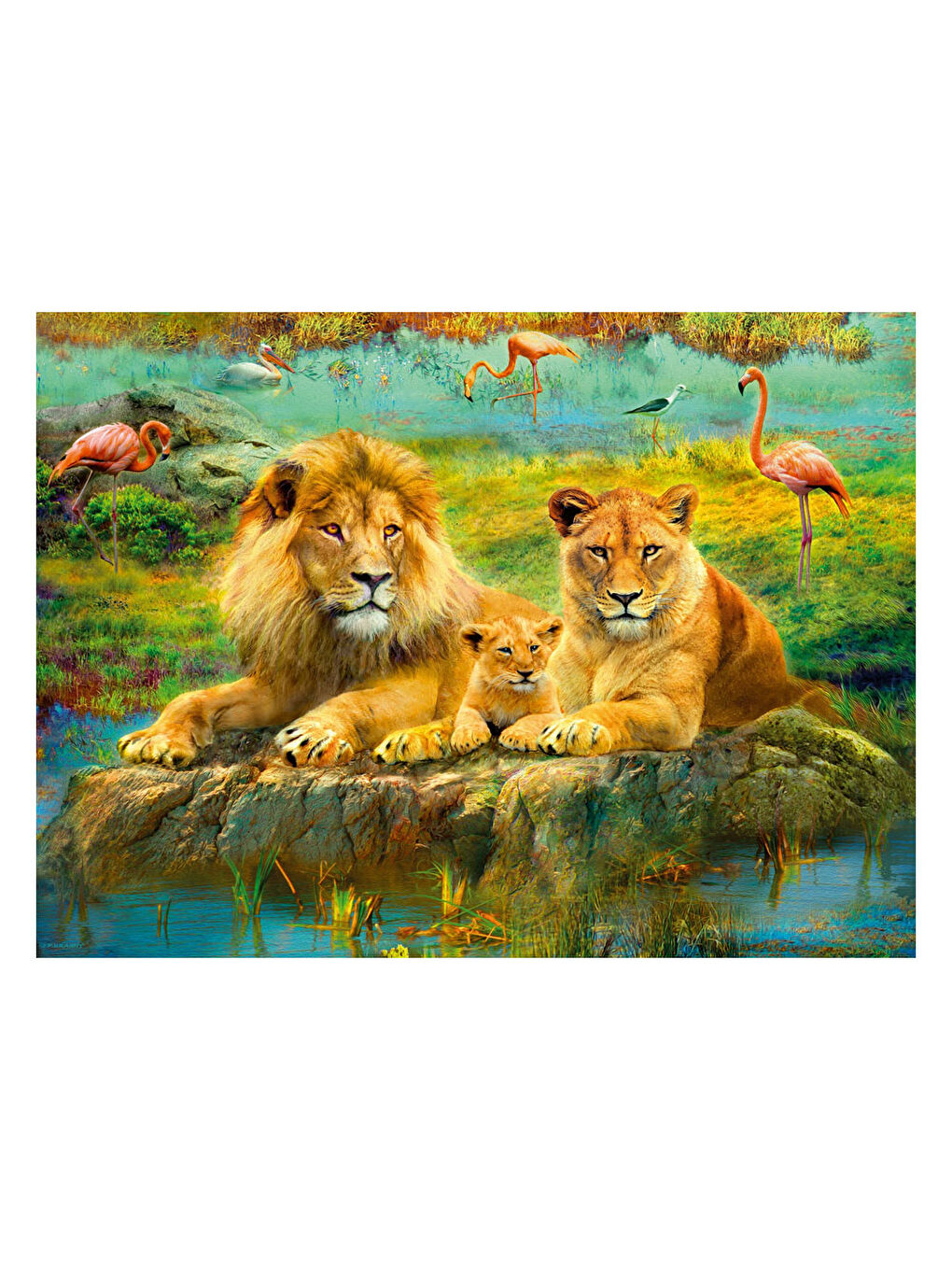 Puzzle Aslan Ailesi 500 Parça-2
