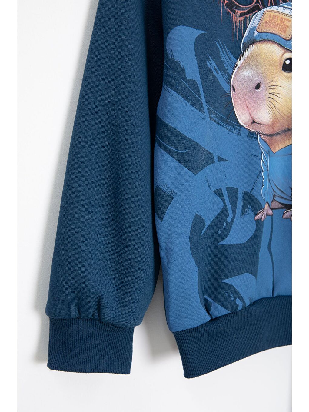 Mavi Cool Fare Baskılı Şardonlu Erkek Çocuk Eşofman Takımı 23300-2