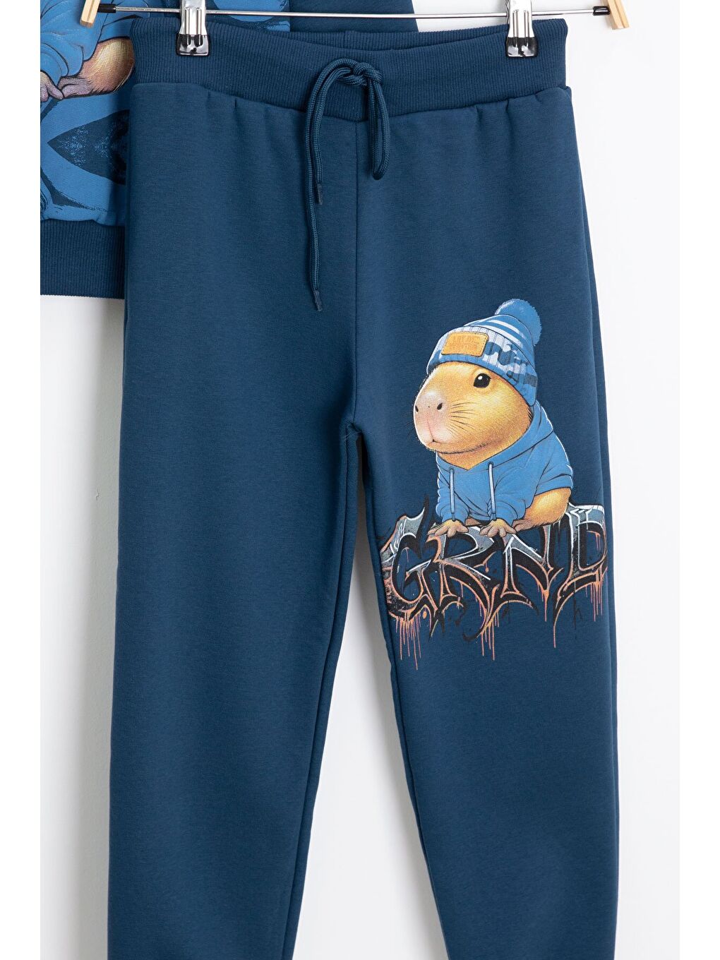 Mavi Cool Fare Baskılı Şardonlu Erkek Çocuk Eşofman Takımı 23300-3