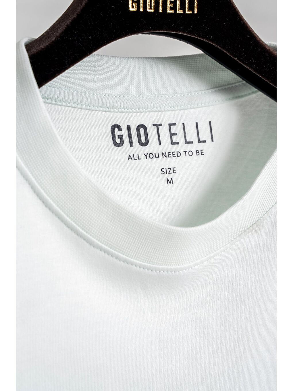 Yeşil Giotelli Erkek Mint Normal Kesim Regular Fit Dokuma Bisiklet Yaka Tişört-3