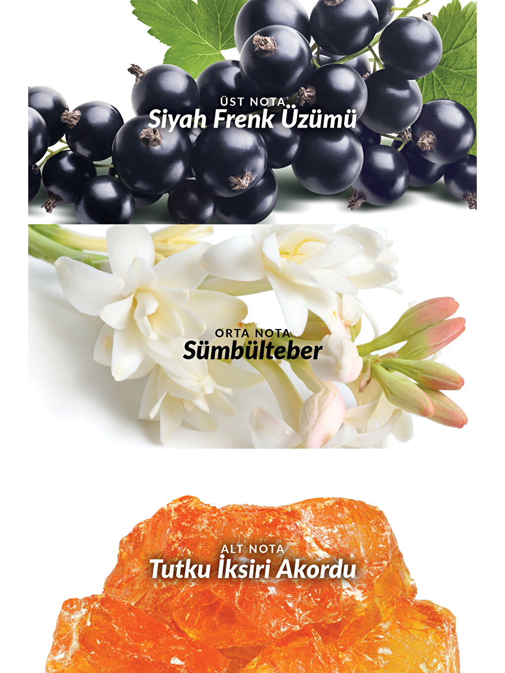 Attraction Awaken Kadın ve Erkek Parfüm Paketi-2