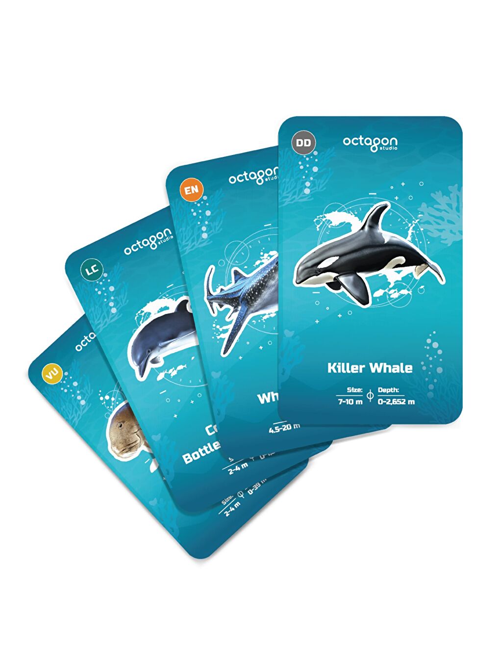 Ocean 4D+ Arttırılmış/Sanal Gerçeklik Kartları-1