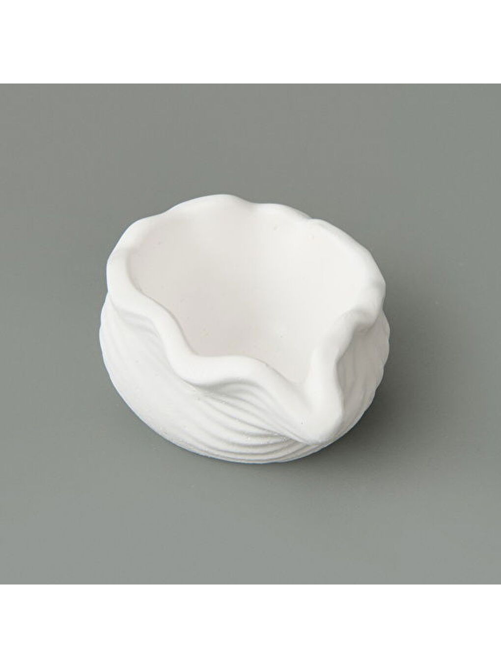 Deco Nautilius Dekor - Beyaz - 10 cm-3