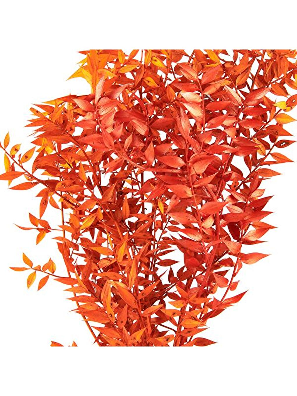 Deco Ruscus Yapay Çiçek - Turuncu - 50x20 cm-2