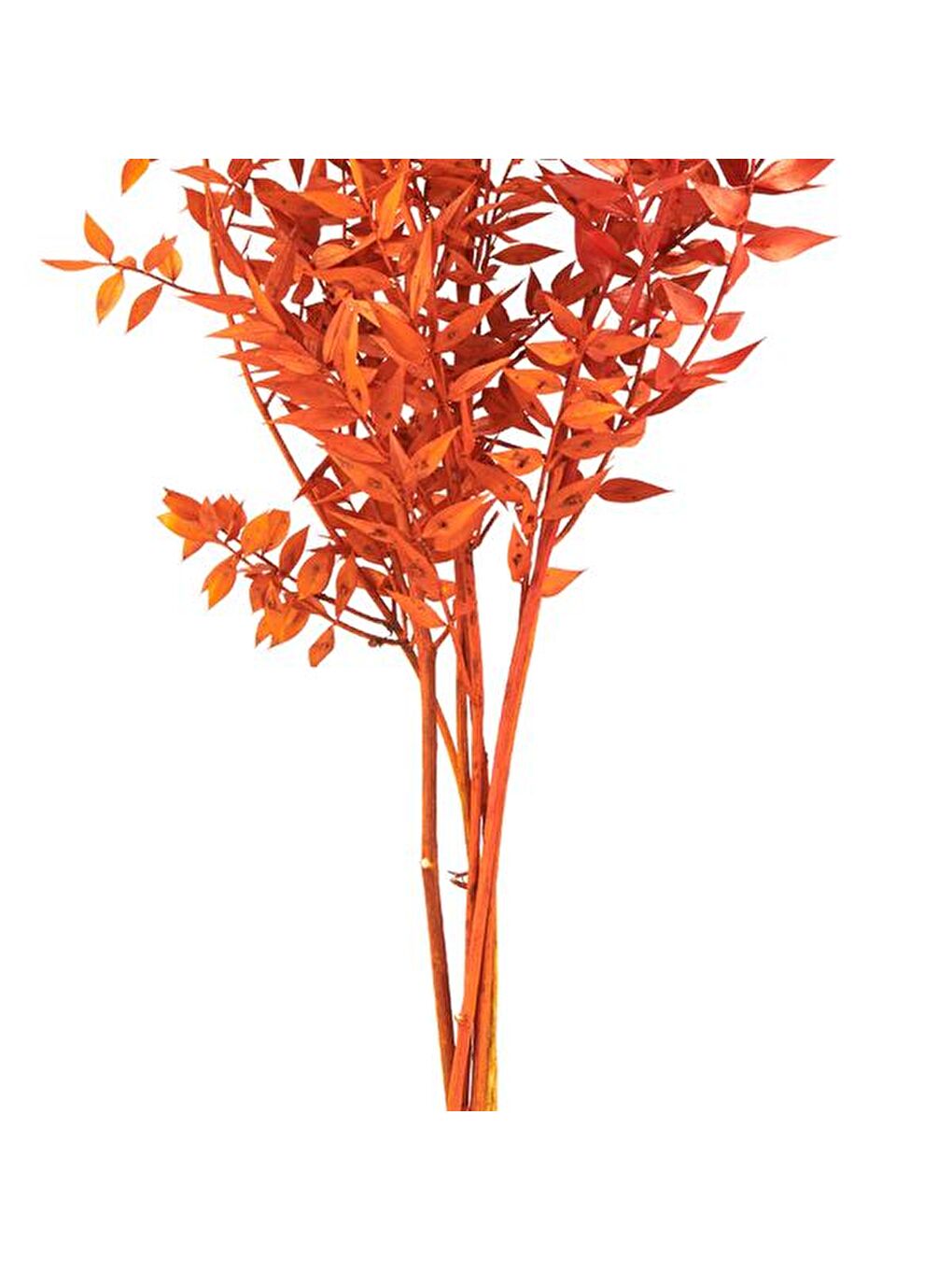 Deco Ruscus Yapay Çiçek - Turuncu - 50x20 cm-3