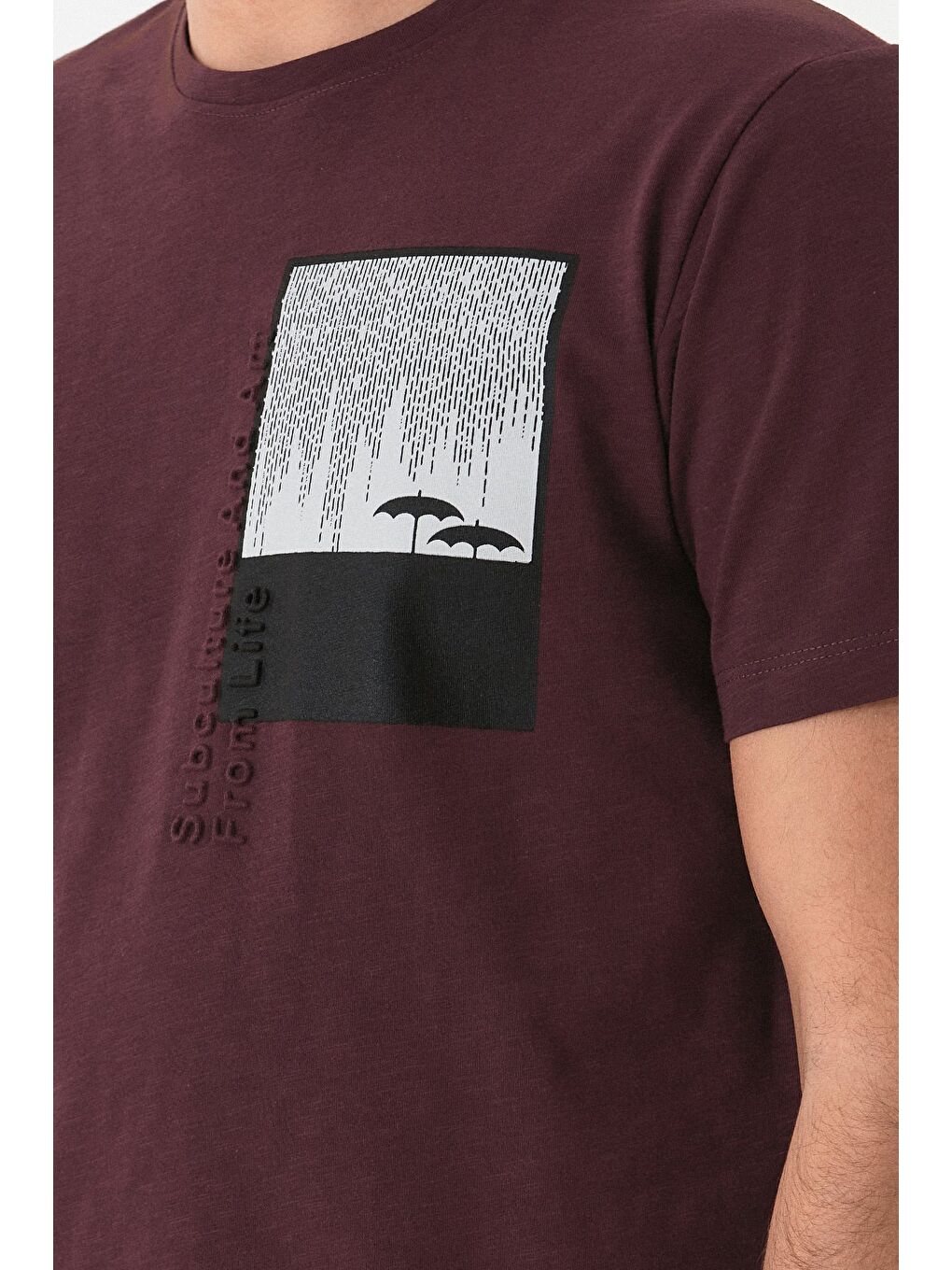 Bordo Grafik Baskılı Bisiklet Yaka Tişört-3