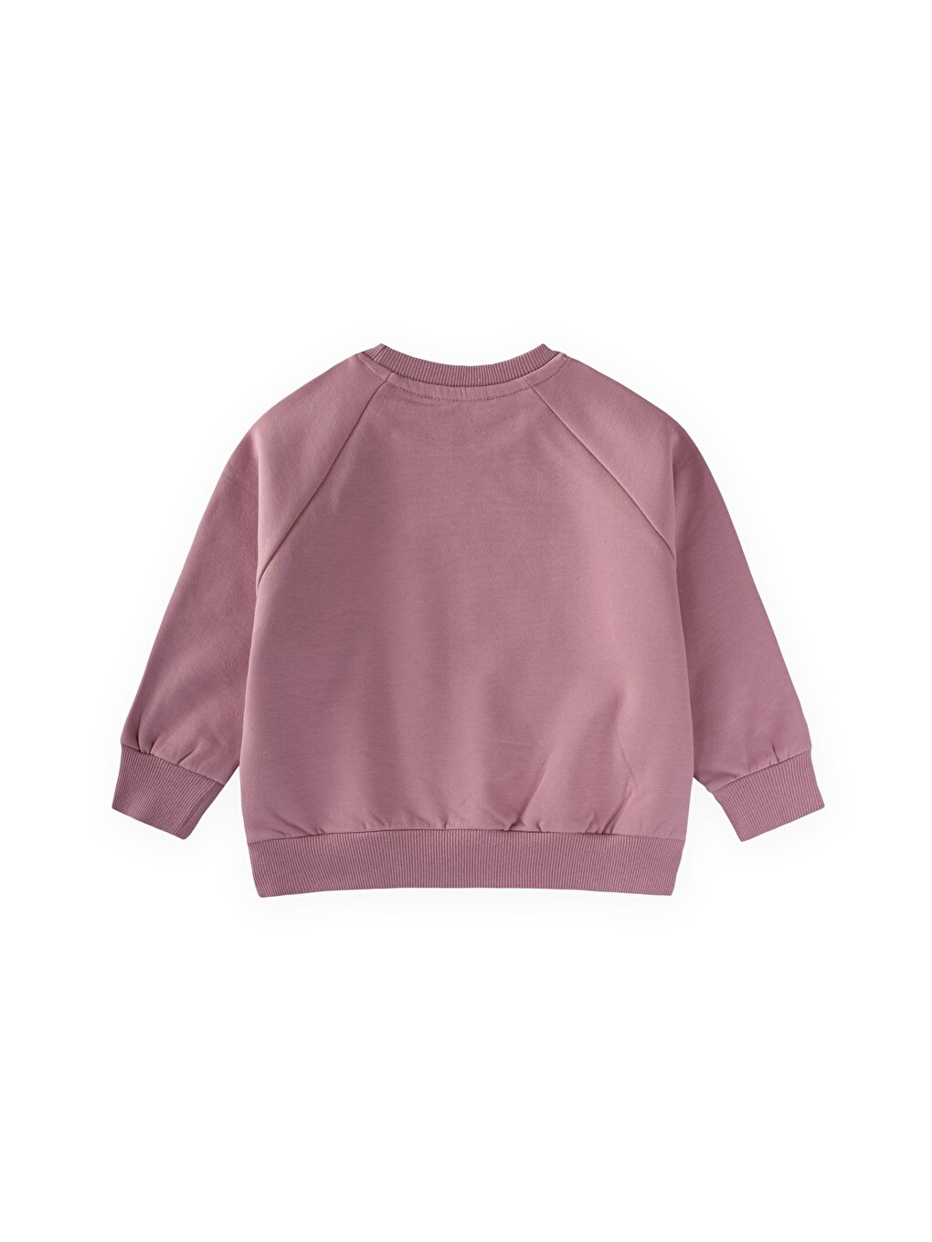 Mor Ağaç Baskılı Sweatshirt 1-7 Yaş Leylak-1