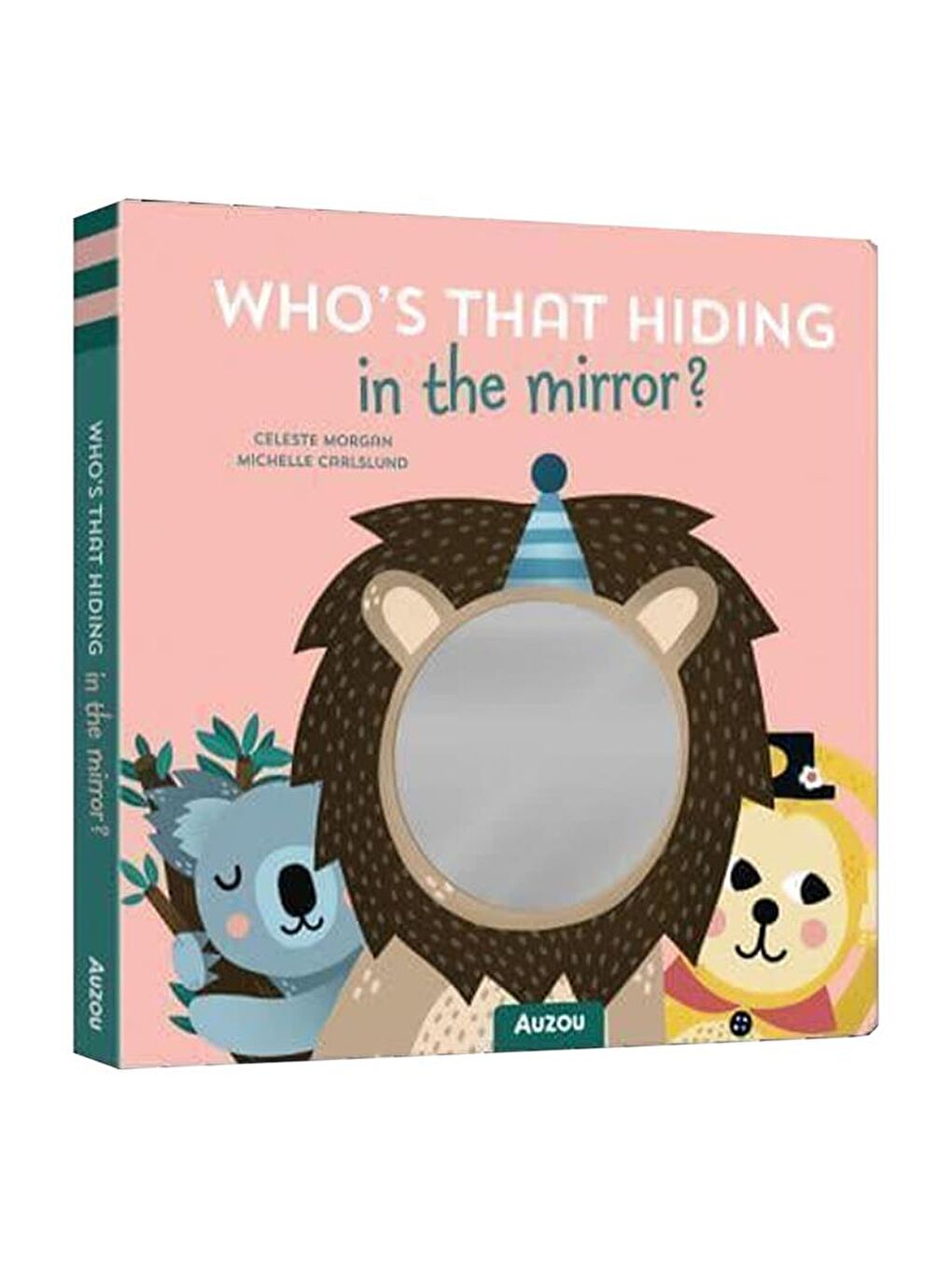 Whos That Hiding in The Mirror