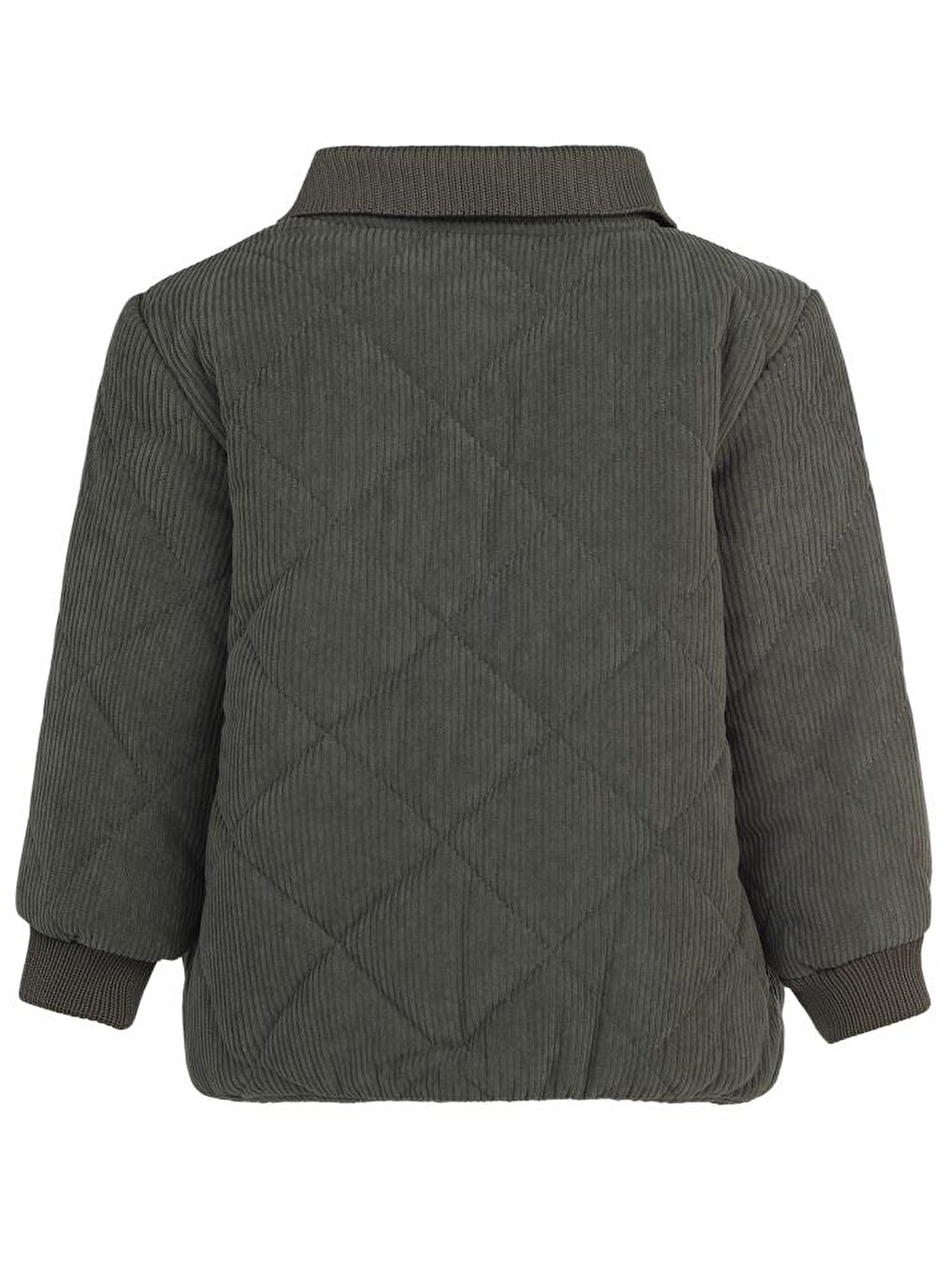 Haki Boys Gömlek Yakalı 2-5 Yaş Mont-2