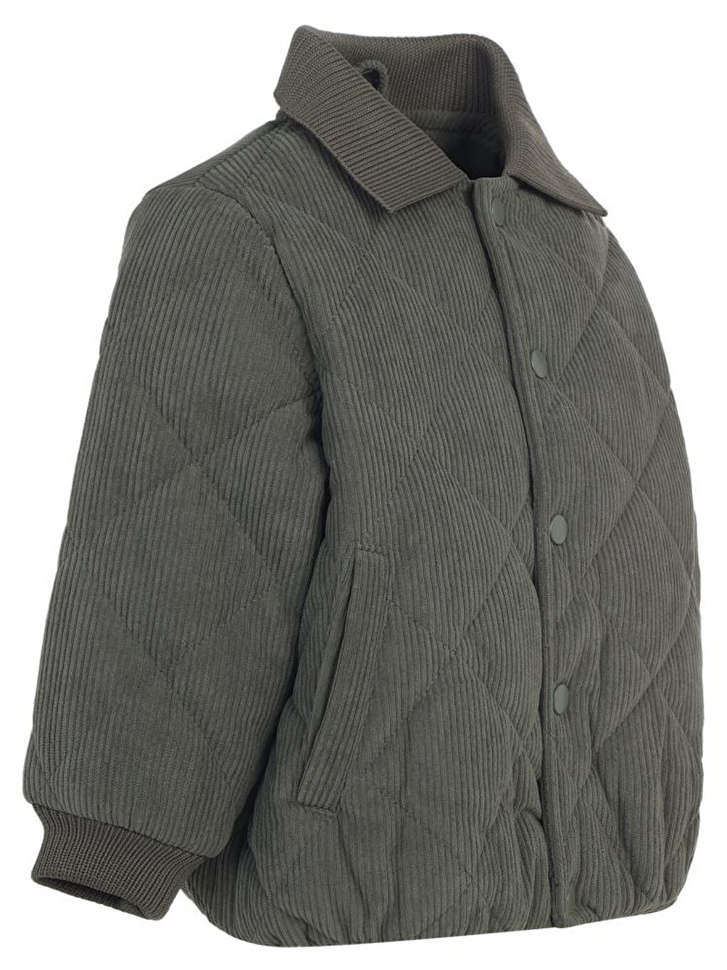 Haki Boys Gömlek Yakalı 2-5 Yaş Mont-3