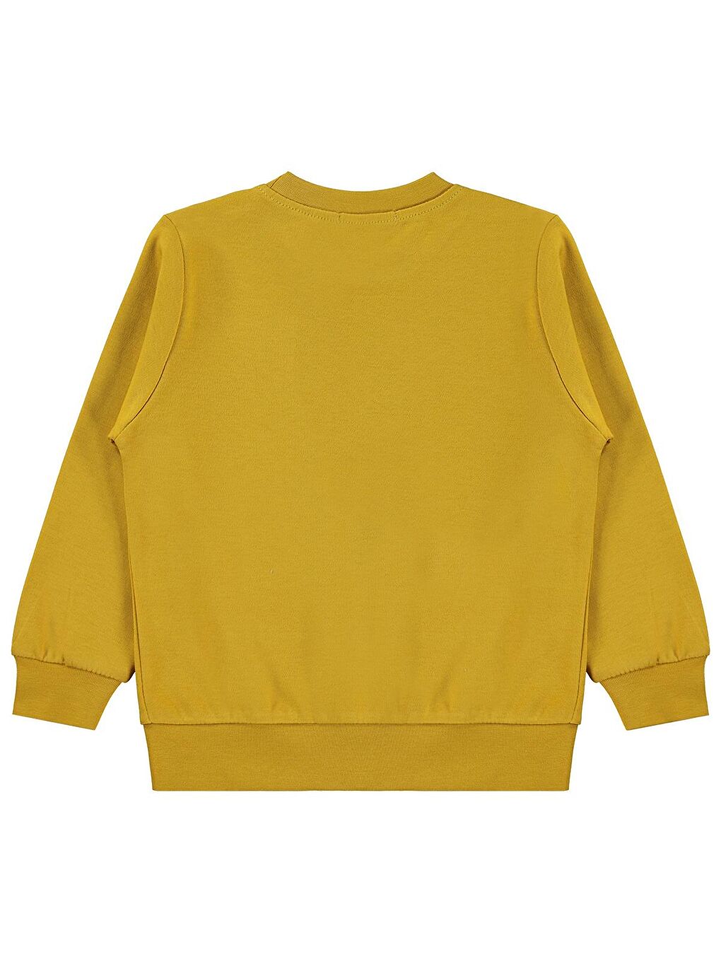 Sarı Boys Fotoğraf Makinesi Baskılı 2-5 Yaş Sweatshirt - Hardal 2-3 Yaş-1