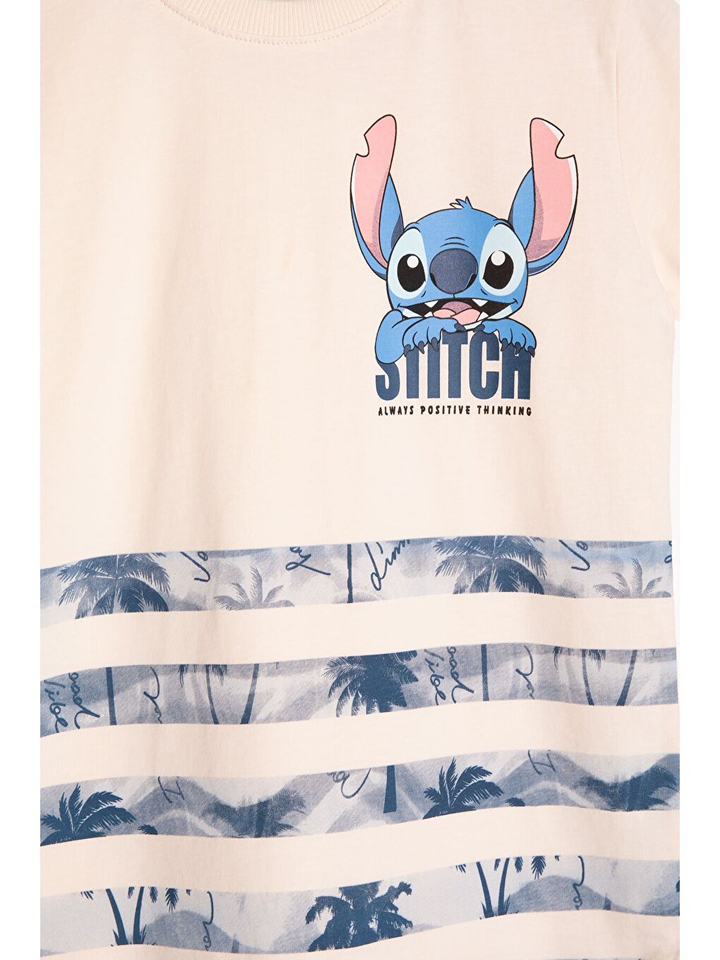 Mavi Palmiye Desenli Çizgili Tişörtlü Erkek Çocuk Şortlu 2li Takım 23931-4