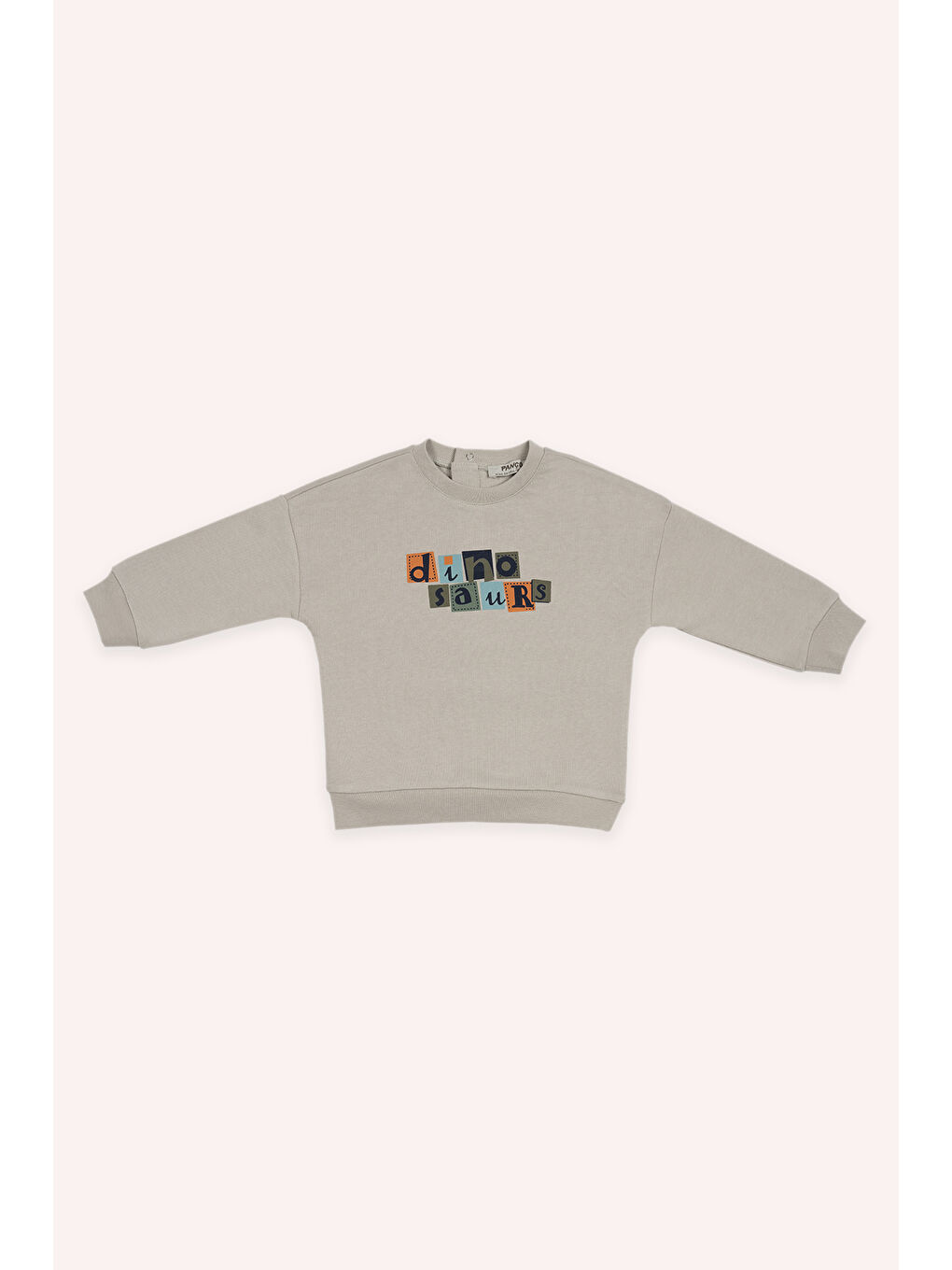 Panço Bej Erkek Çocuk Baskılı Sweatshirt