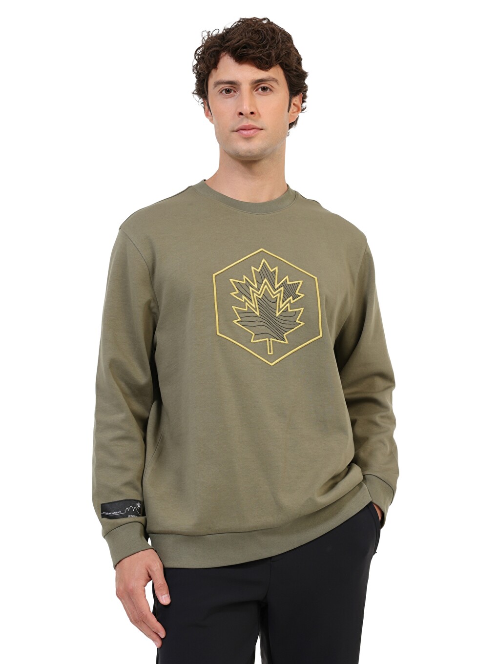Haki Sweatshirt Erkek Dusty Olive Ml Arman 16nat26-4-1