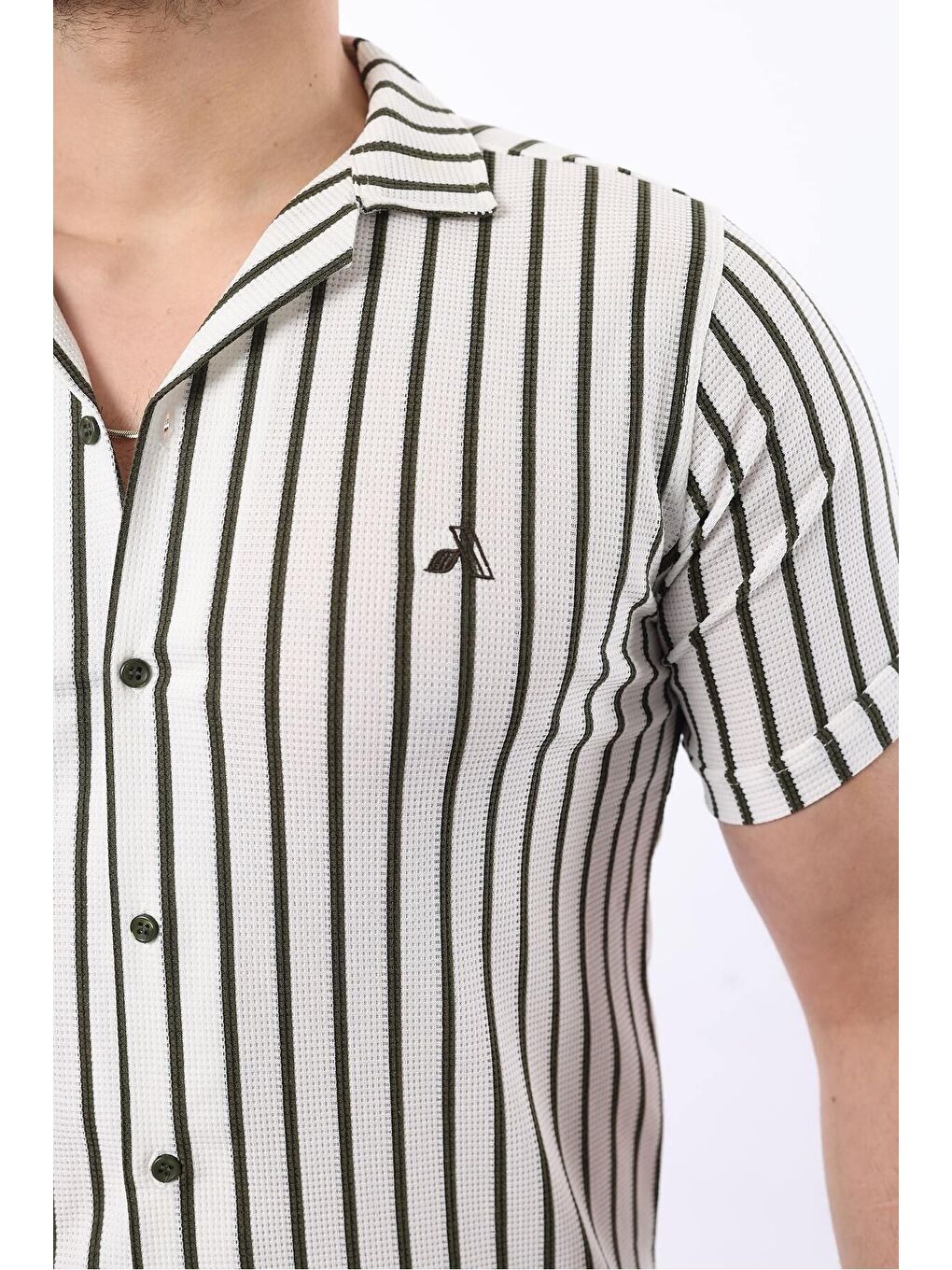 Haki Erkek Kısa Kollu Slim Fit Yazlık Çizgili Gömlek-1