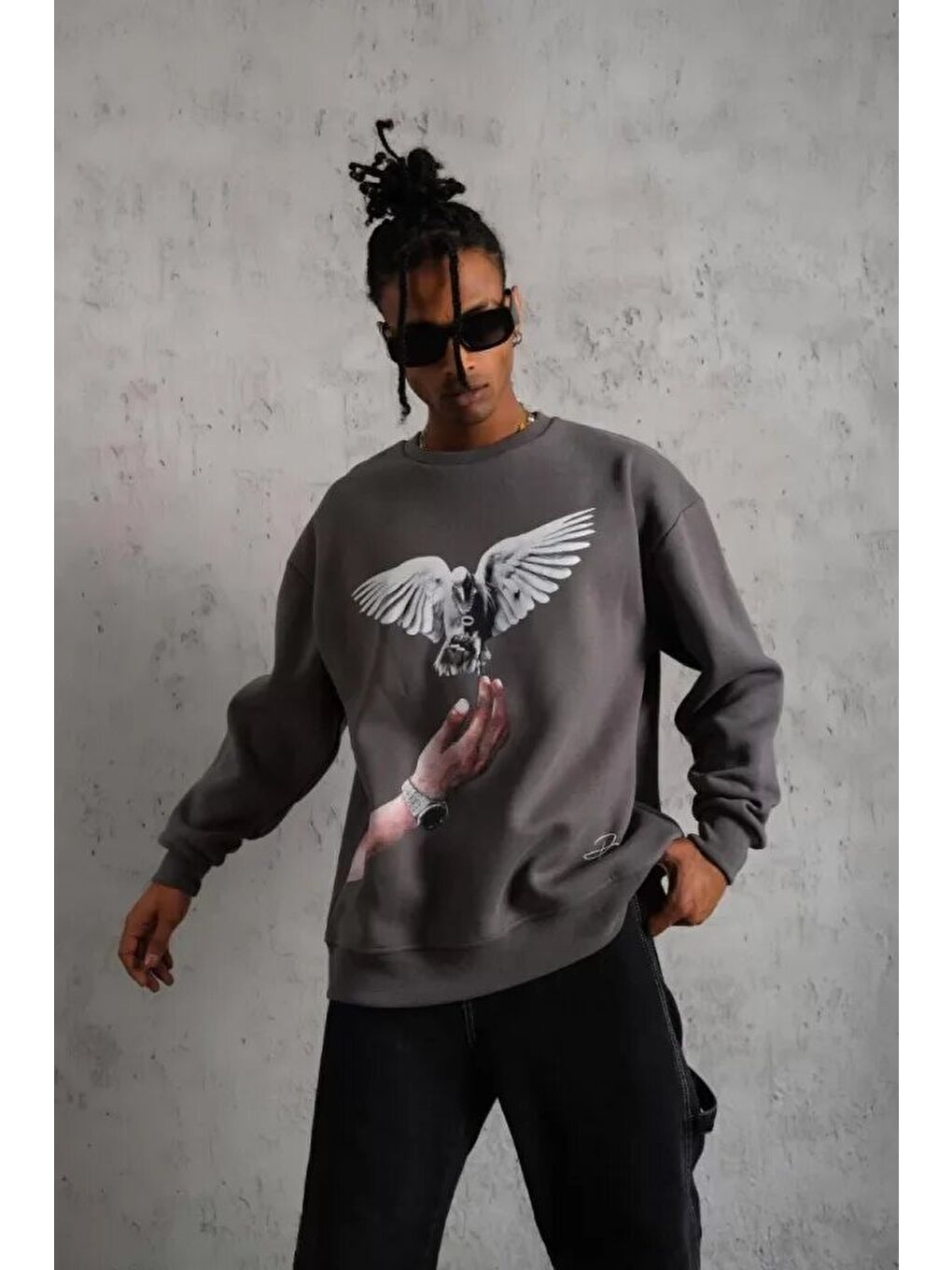 Erkek Güvercin Baskılı Sweatshirt - Gri-2