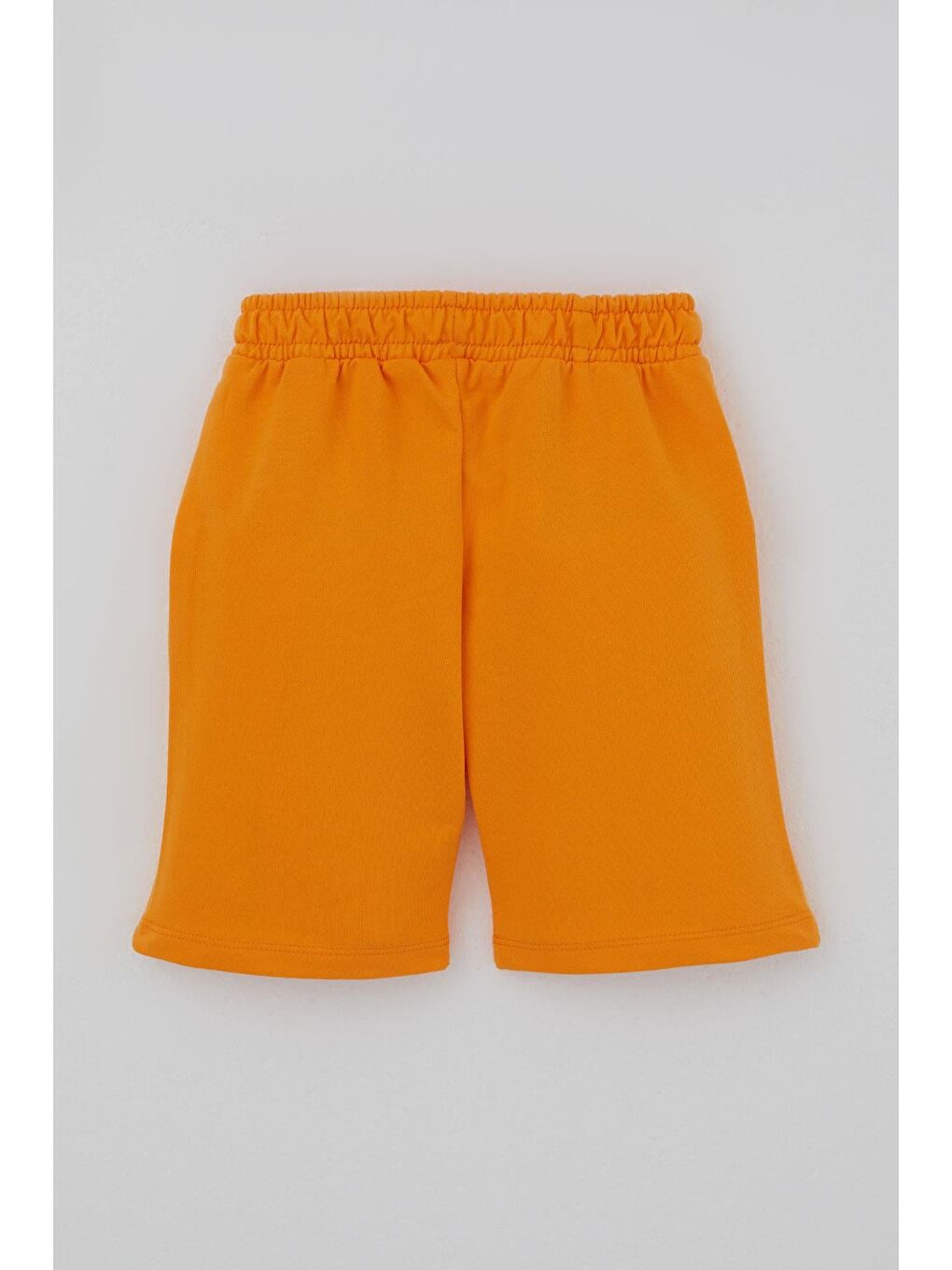 Erkek Bebek Şortlu Takım Sevimli Hayvancık Arkadaşlar Saks Mavisi (9 Ay-3 Yaş)-6