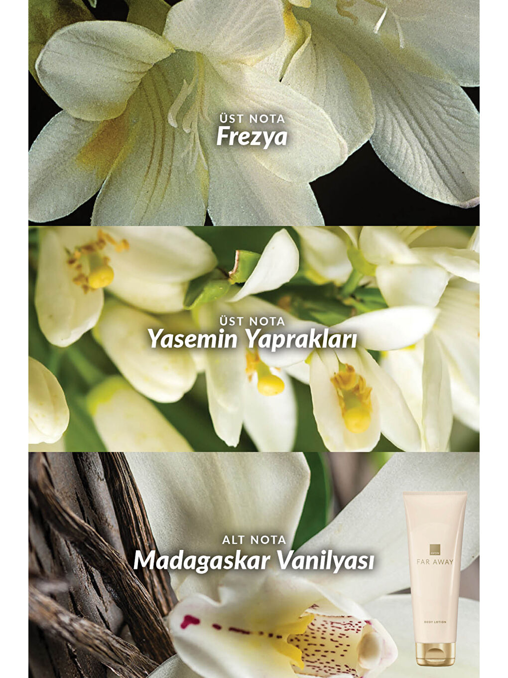 Far Away Klasik Rebel ve Beyond The Moon Vücut Losyonu Paketi-1