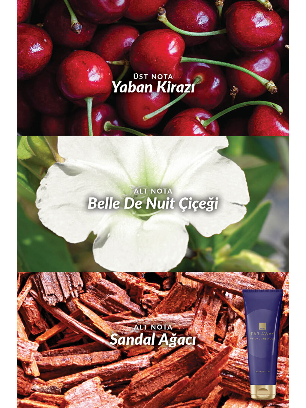 Far Away Klasik Rebel ve Beyond The Moon Vücut Losyonu Paketi-3