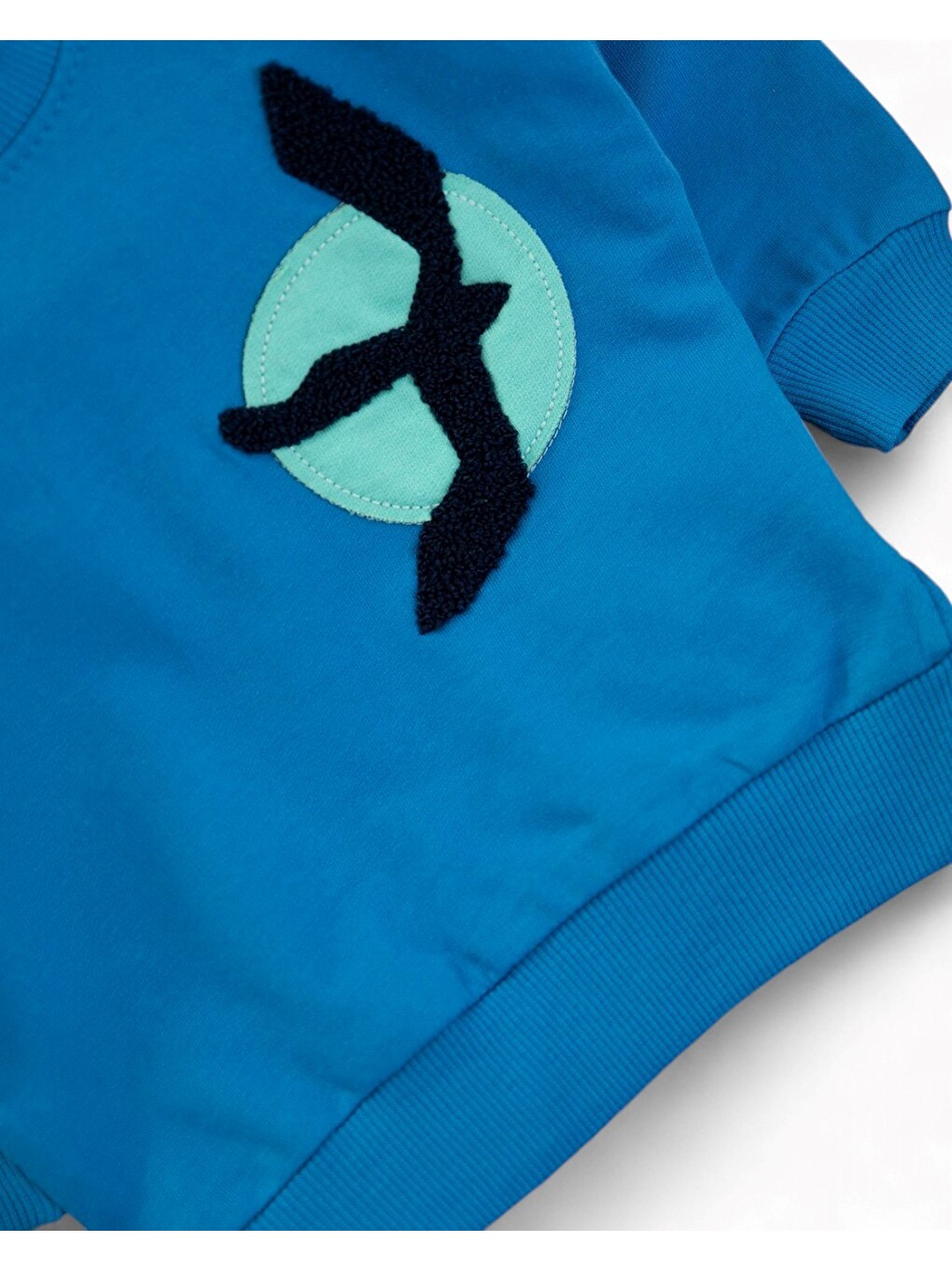 Mavi Erkek Bebek Mevsimlik Martı Nakışlı Sweatshirt, Çizgili Pantalonlu 2'li Alt Üst Takım-4
