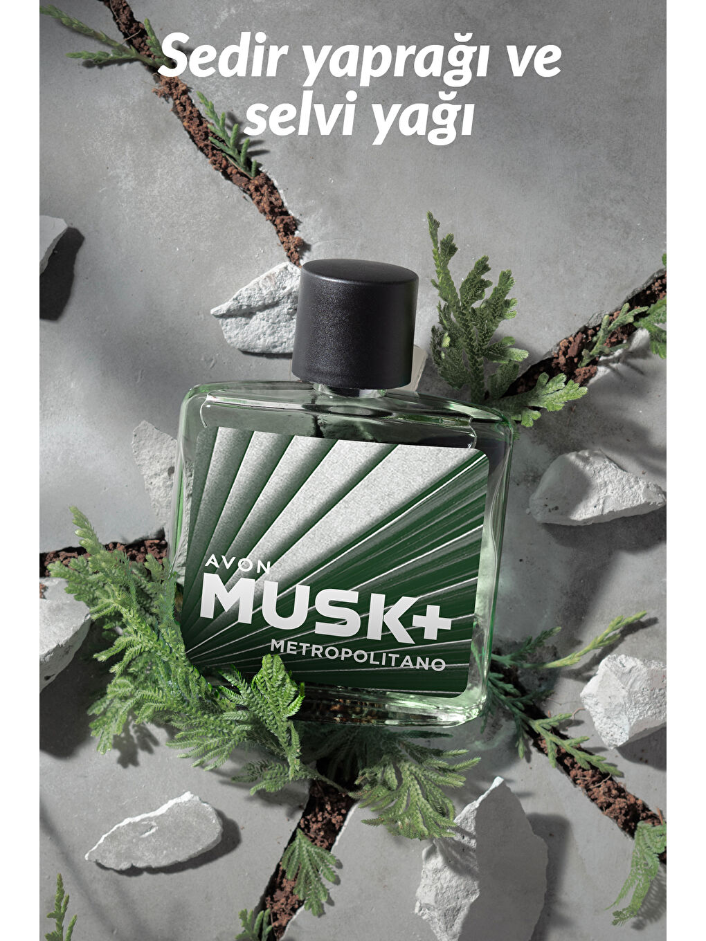 AVON Wild Country ve Musk Metropolitano Erkek Parfüm Paketi - 3