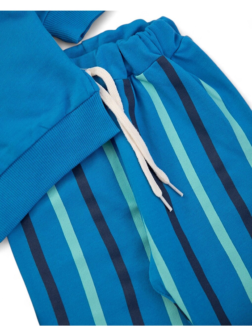 Mavi Erkek Bebek Mevsimlik Martı Nakışlı Sweatshirt, Çizgili Pantalonlu 2'li Alt Üst Takım-5