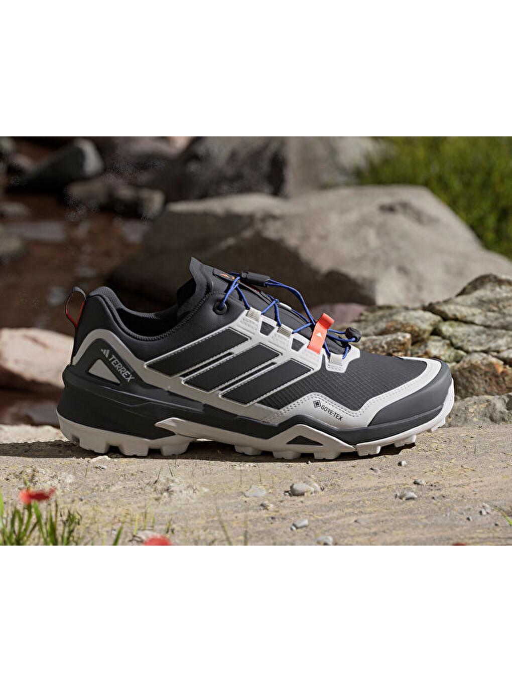 Terrex Skychaser Gtx Erkek Outdoor Ayakkabısı Ih2799 Siyah-1