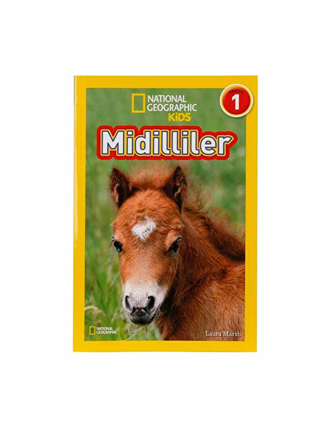National Geographic Kids Midilliler