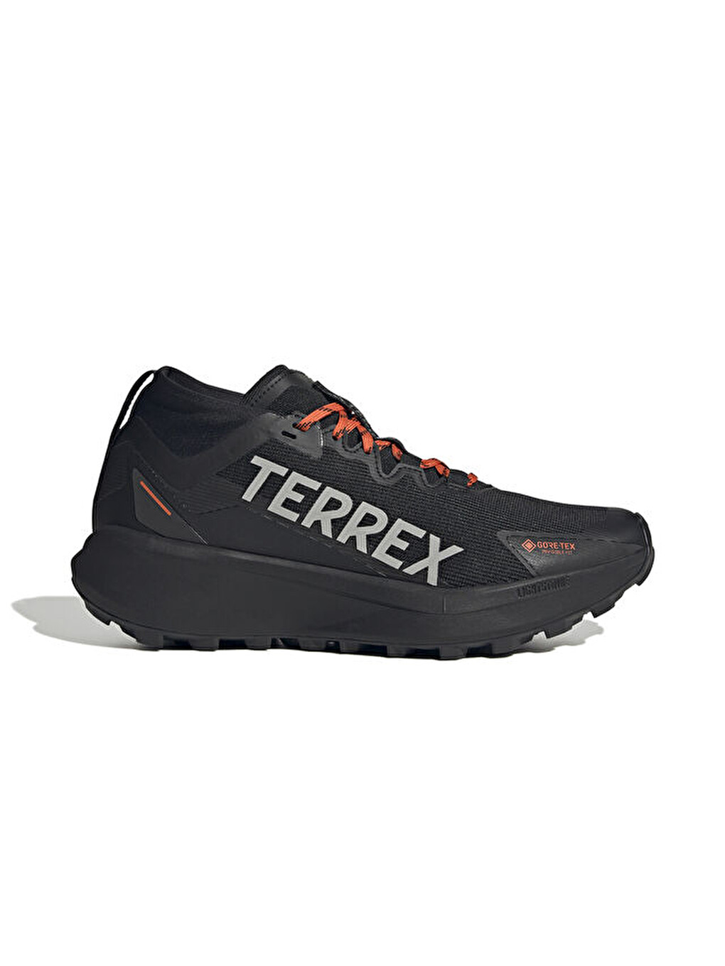 Terrex Agravic Gtx Erkek Arazi Tipi Koşu Ayakkabısı Ih2939 Siyah