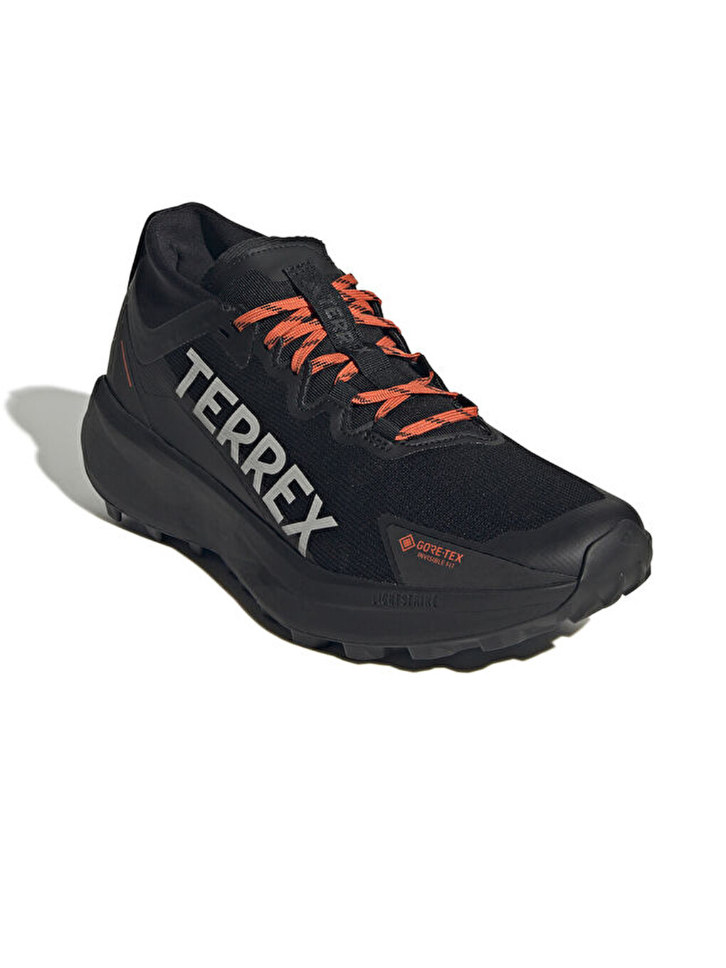 Terrex Agravic Gtx Erkek Arazi Tipi Koşu Ayakkabısı Ih2939 Siyah-2
