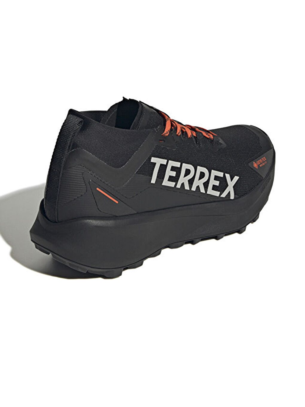 Terrex Agravic Gtx Erkek Arazi Tipi Koşu Ayakkabısı Ih2939 Siyah-4