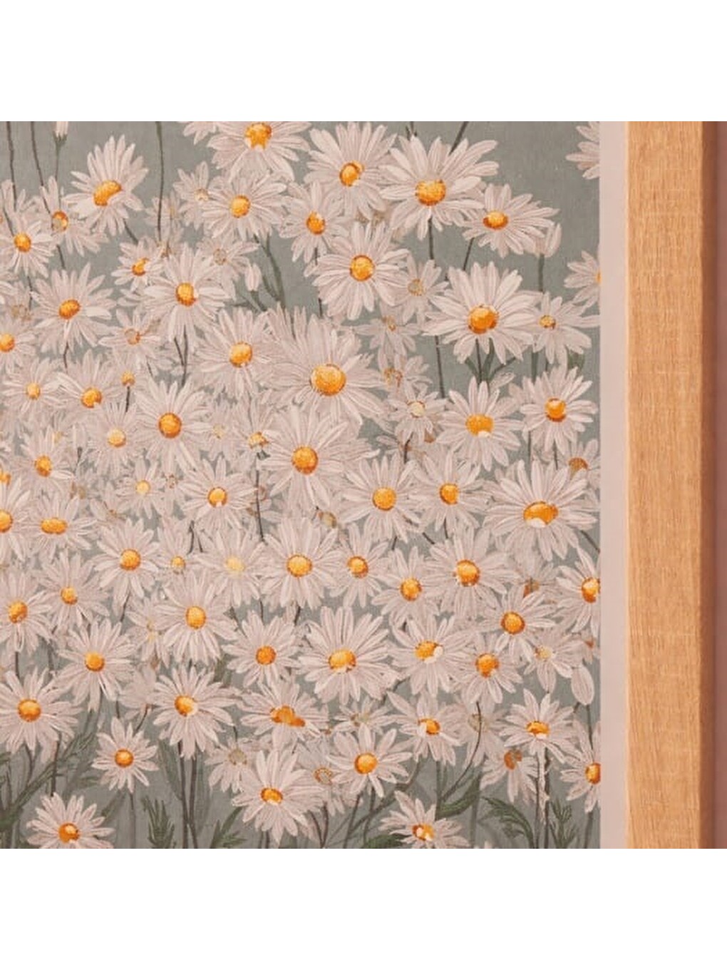 Karışık Deco Daisy Garden Duvar Panosu - Renkli - 30x40 Cm-2