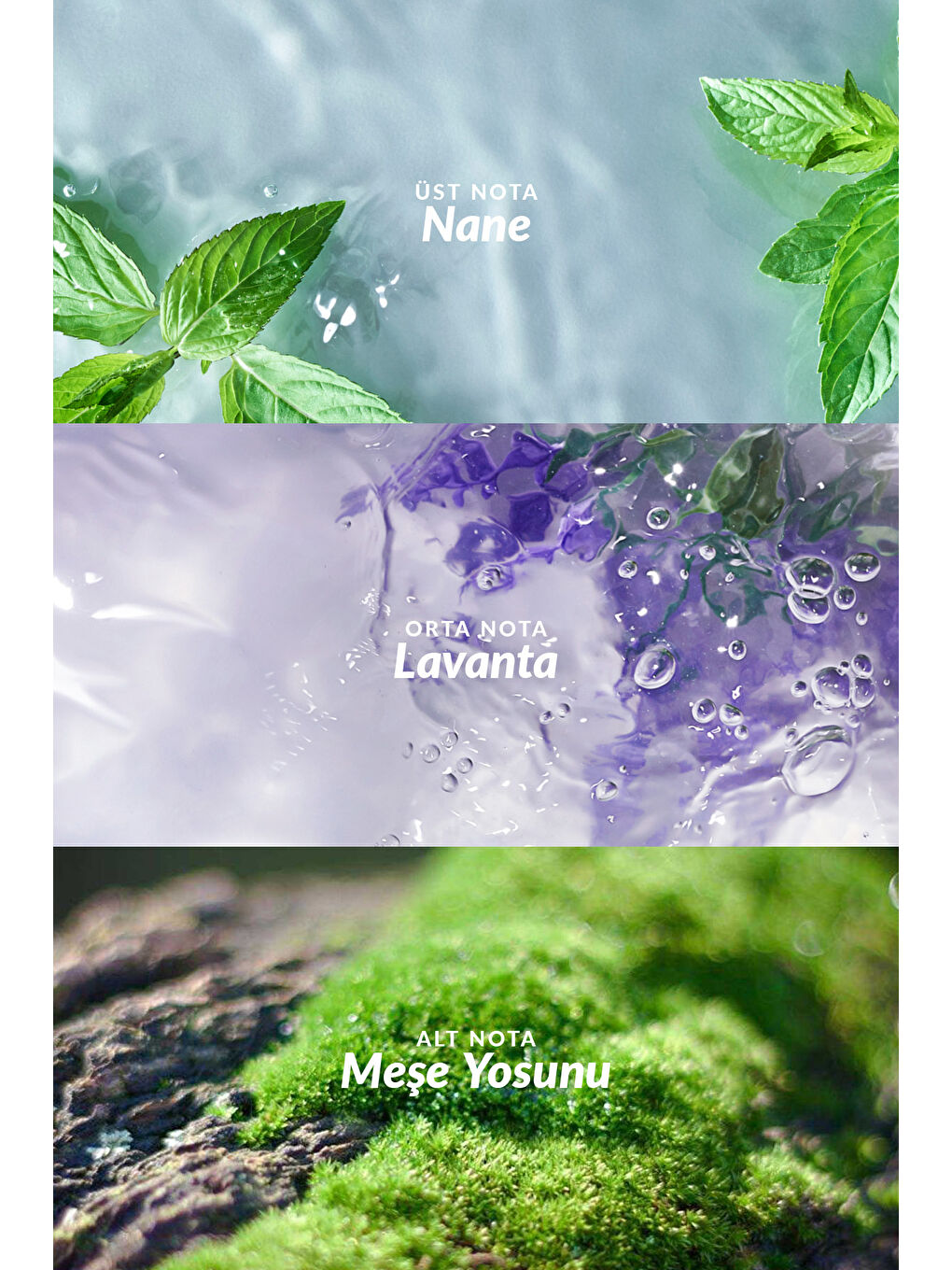 Wish Of Love Kadın Parfüm ve Musk Marine Erkek Parfüm Paketi-4