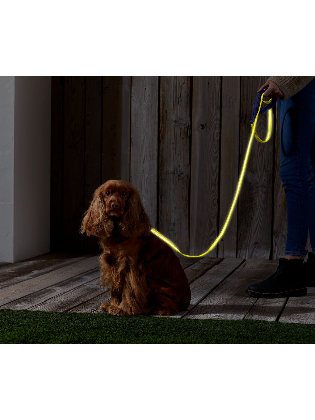 Köpek Tasması, Reflektörlü-1