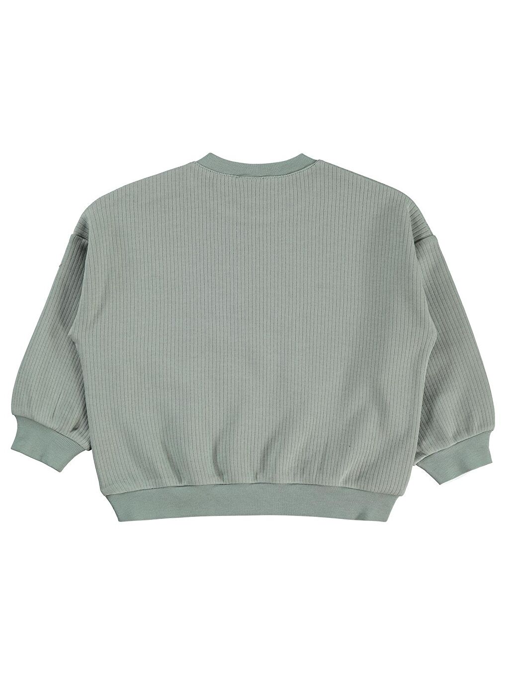 Baby Süs Etiketli 6-18 Ay Sweatshirt - Yeşil 6-9 Ay-1