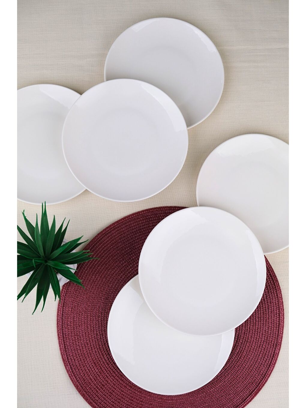 Ekru Porselen Chic Pasta Tabağı 20,50cm 6 LI