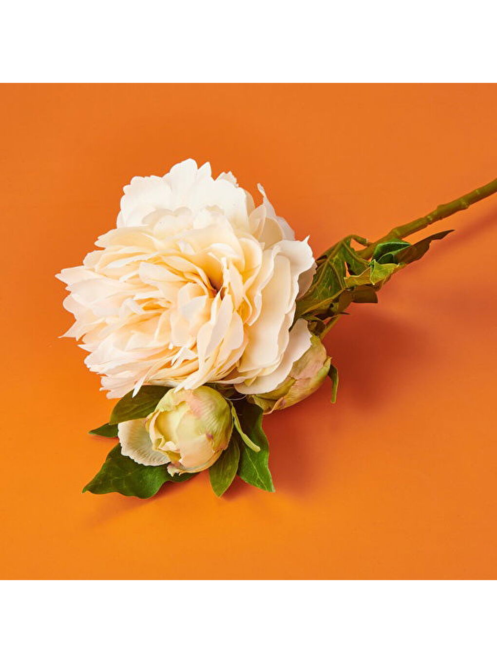 Ekru Şakayık Yapay Çiçek - Krem - 65 cm-2