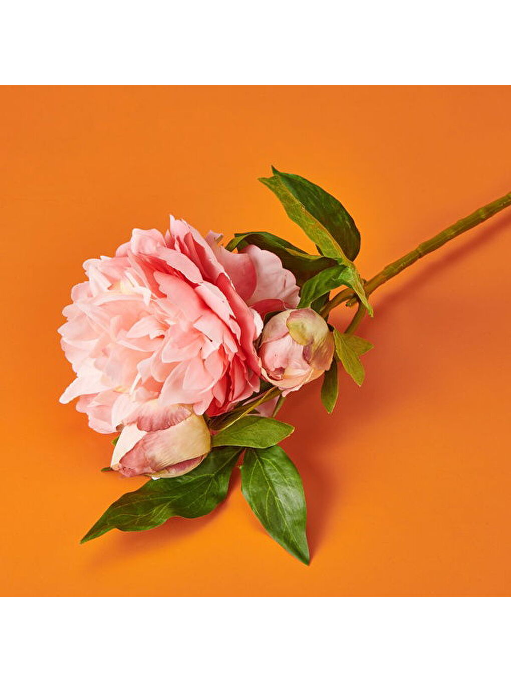 Şakayık Yapay Çiçek - Pembe - 65 cm-1