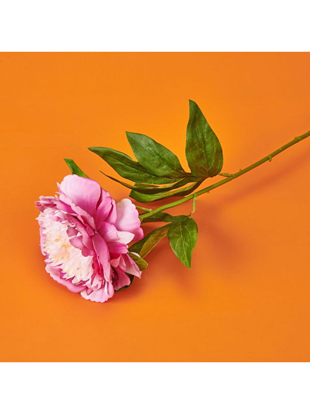 Şakayık Yapay Çiçek - Pembe - 70 cm-1