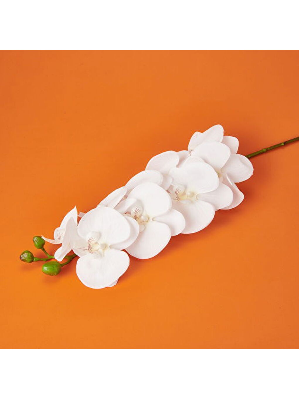 Orkide Yapay Çiçek - Beyaz - 95 cm-2