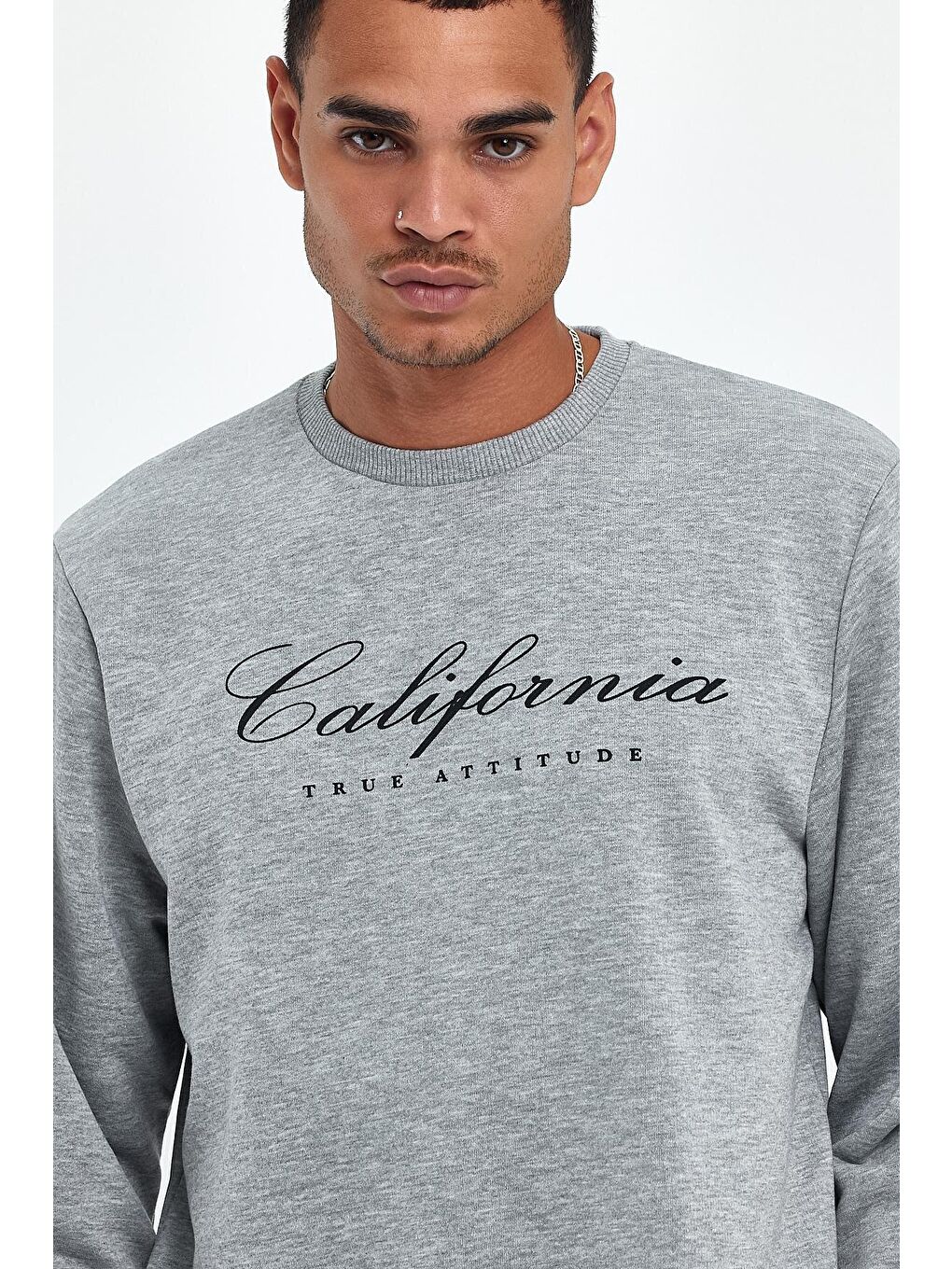 Gri Erkek Bisiklet Yaka Regular Fit 3 İplik Kalın California Baskılı Sweatshirt spr24sw28-3