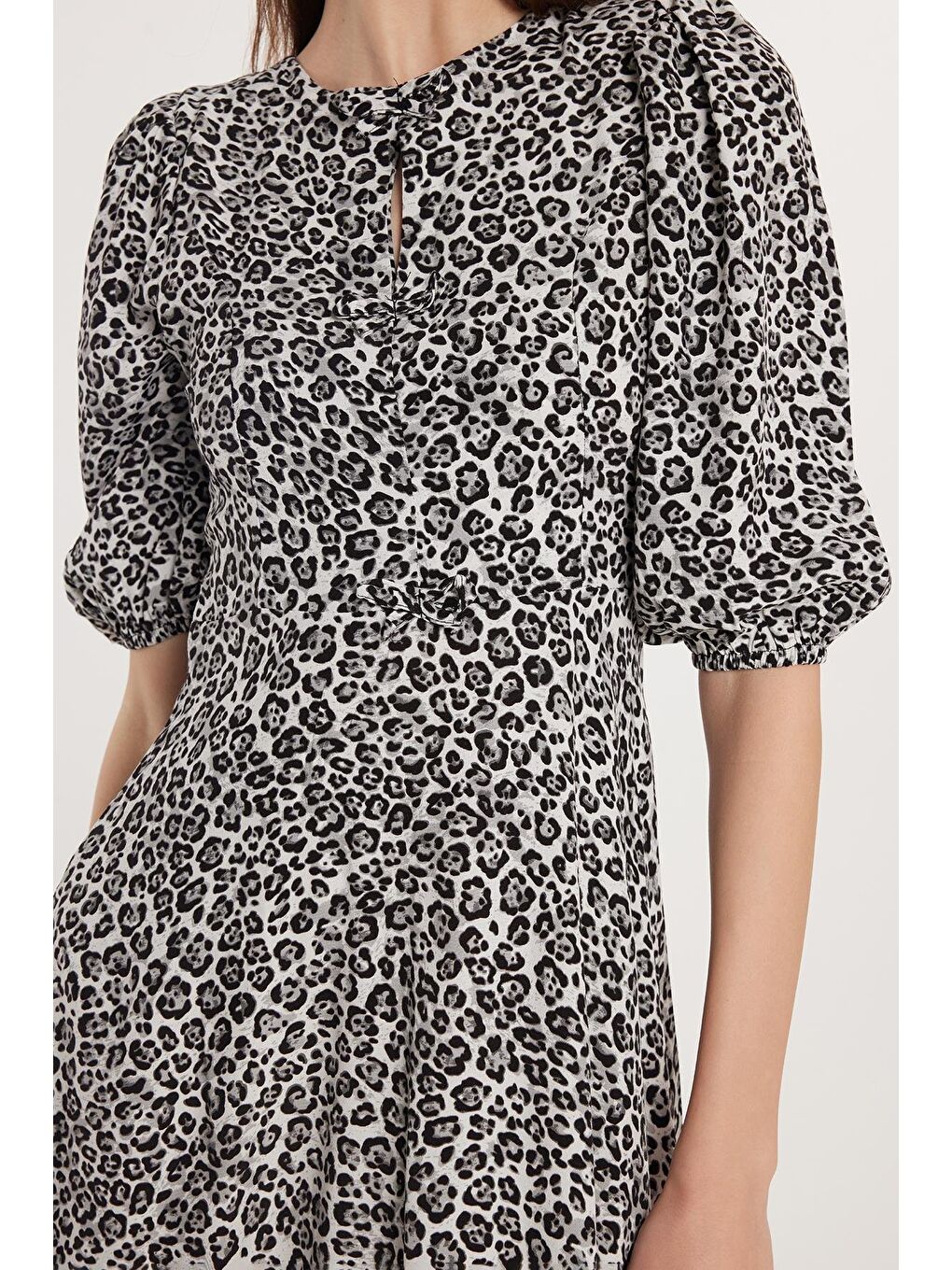 Karışık Kadın Regular Fit Klasik Kesim Balon Kol Leopar Desenli Elbise-2