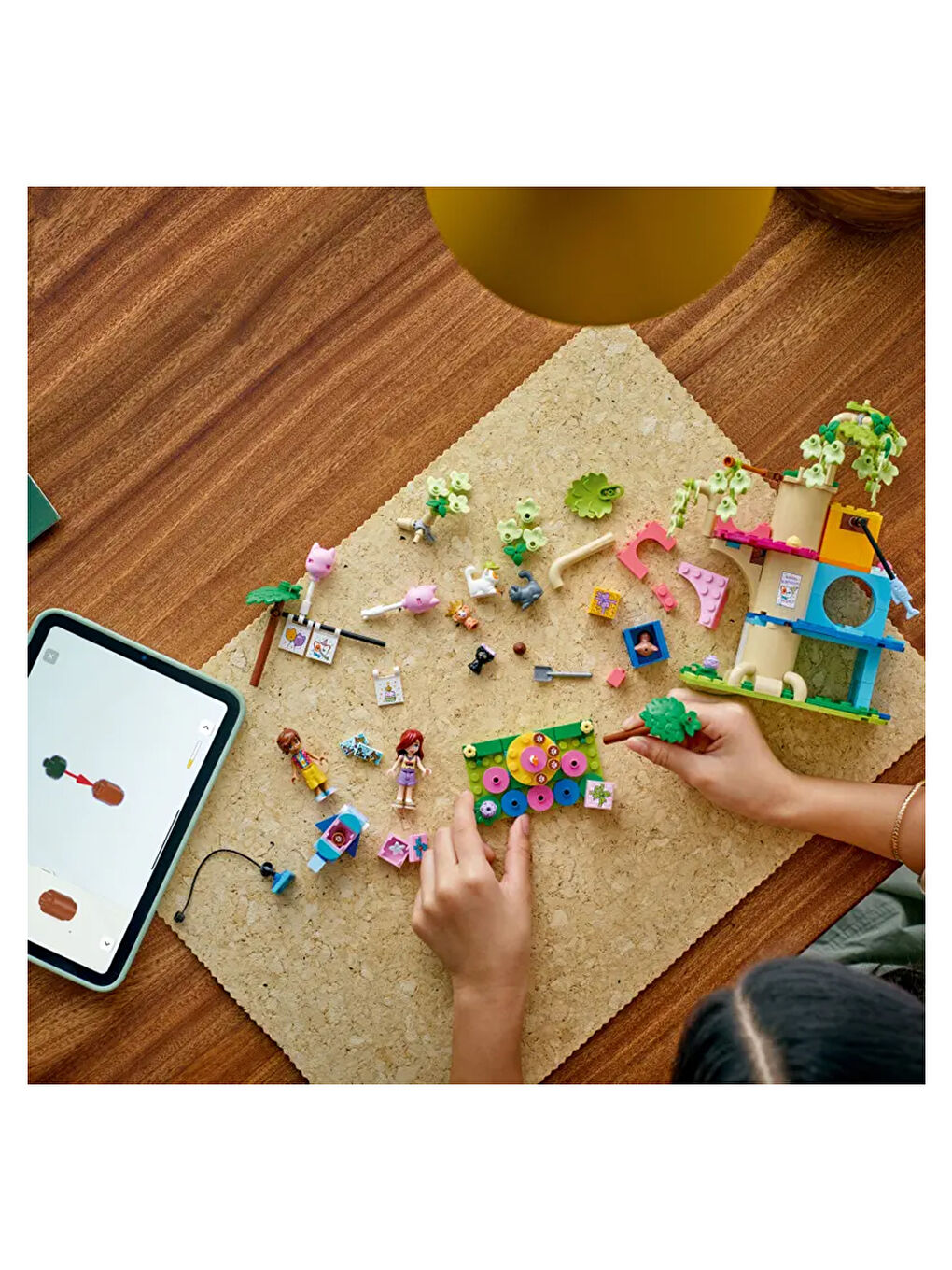 Friends Kedi Doğum Günü Partisi ve Ağaç Ev 42666-6