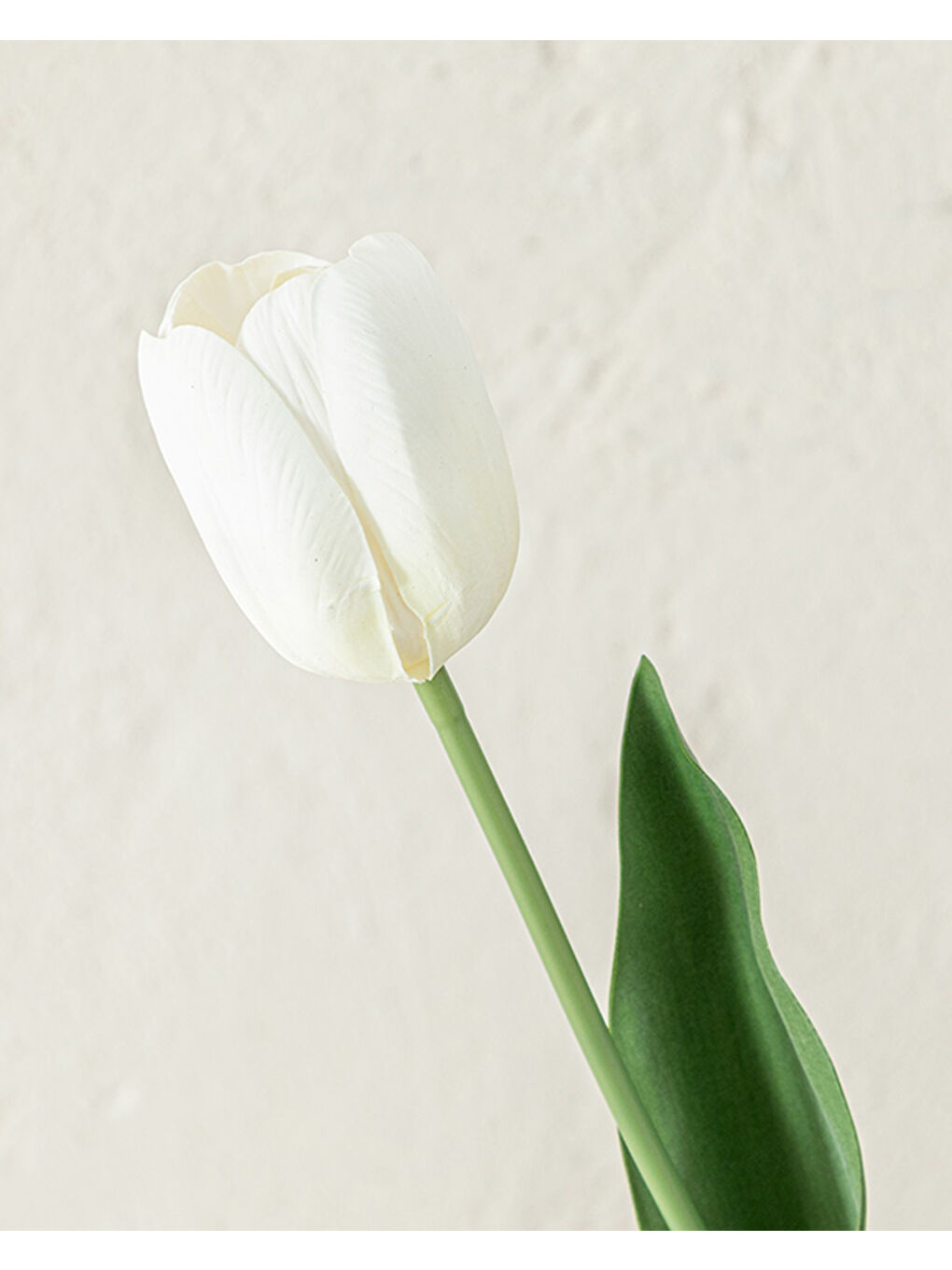 Tulip Garden Tek Dal Yapay Çiçek Beyaz-1