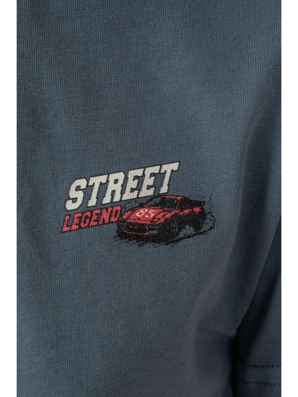 Gri Street Legend Baskılı Erkek Çocuk Şort - Tişört Takımı-3