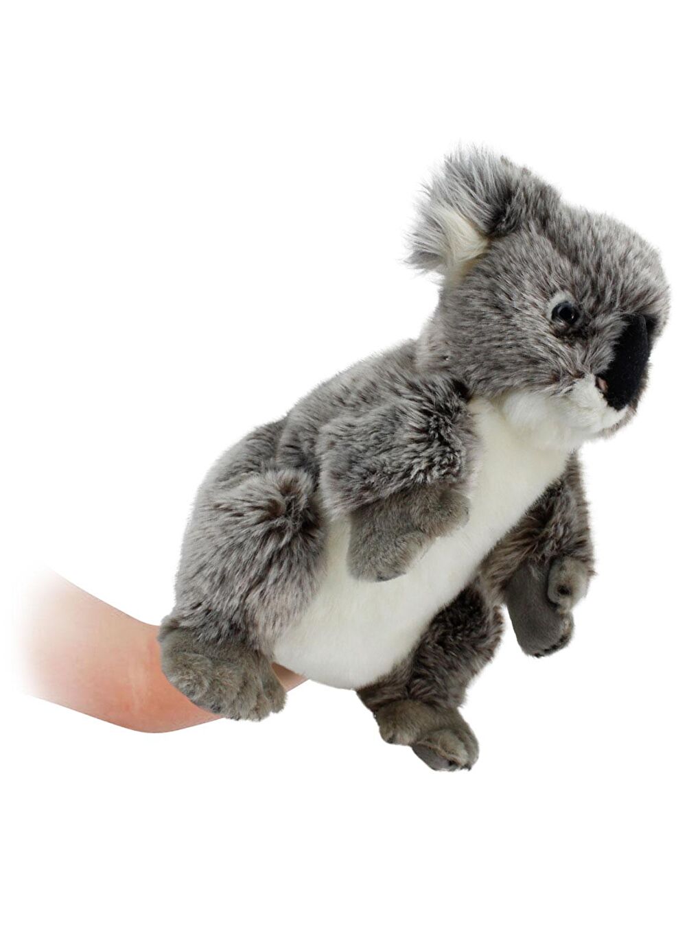 Animals of The World Koala Kukla (Tüm Beden) 26cm - 3