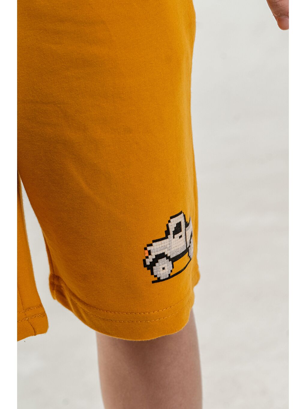 Sarı Üst Ön Orta Baskılı Alt Sol Bacak Baskılı Erkek Çocuk Şort - Tişört Takımı-4