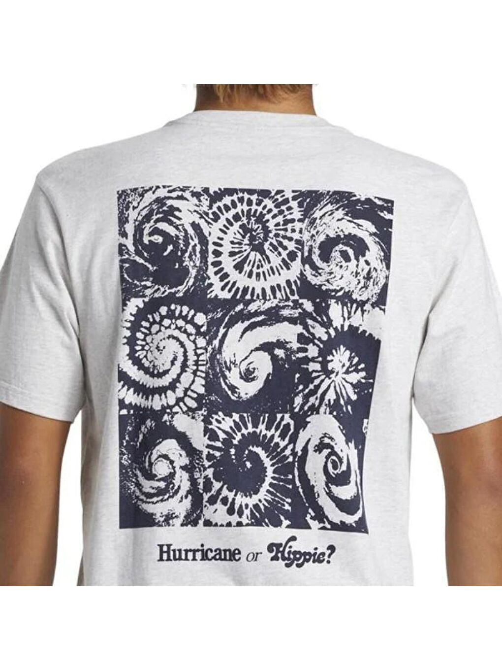 Quiksilver Hurricane Or Hippie Moe Erkek Gri Yuvarlak Yaka Tişört - 1