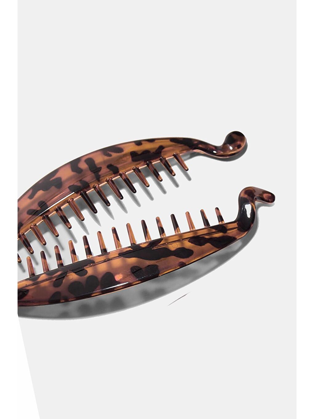 Kahverengi Yassı Muz Toka-2