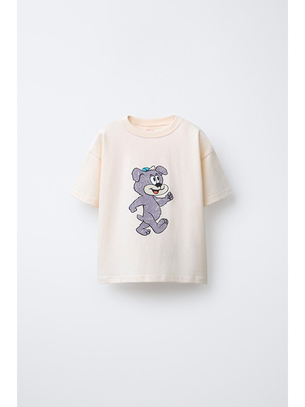 Karışık Erkek Çocuk Pamuklu Köpek Baskılı T-Shirt Ve Kareli Eşofman Takım-3